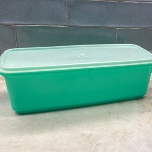 Vintage Tupperware Celery Crisper Storage Box